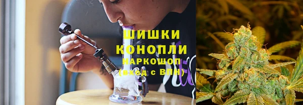 стаф Майский