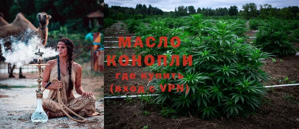 стаф Майский