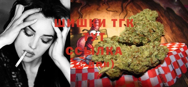 стаф Майский