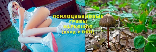 стаф Майский